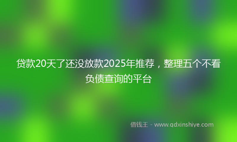 贷款20天了还没放款2025年推荐，整理五个不看负债查询的平台