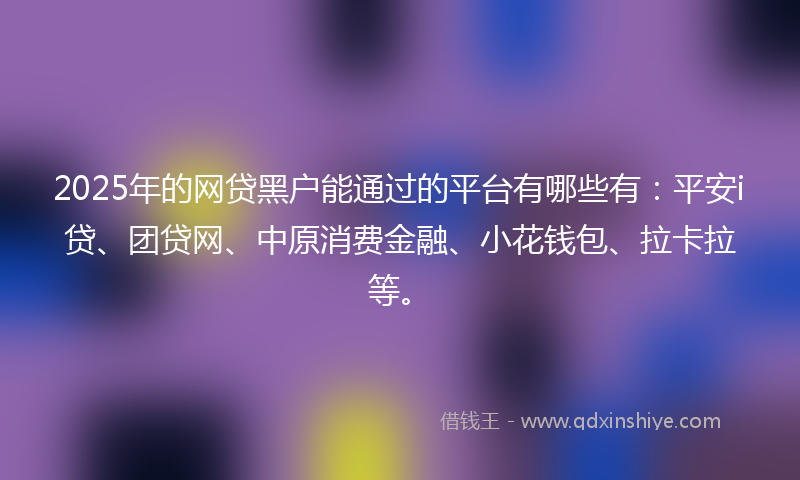 2025年的网贷黑户能通过的平台有哪些有：平安i贷、团贷网、中原消费金融、小花钱包、拉卡拉等。