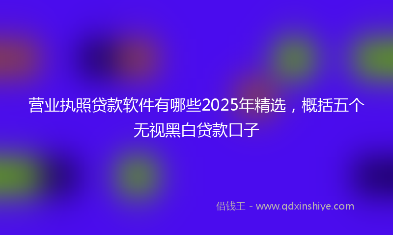营业执照贷款软件有哪些2025年精选，概括五个无视黑白贷款口子