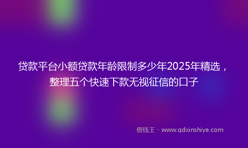 贷款平台小额贷款年龄限制多少年2025年精选，整理五个快速下款无视征信的口子