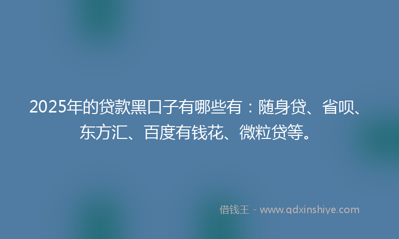 2025年的贷款黑口子有哪些有：随身贷、省呗、东方汇、百度有钱花、微粒贷等。