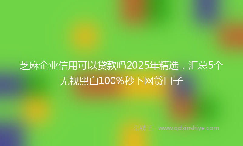 芝麻企业信用可以贷款吗2025年精选，汇总5个无视黑白100%秒下网贷口子