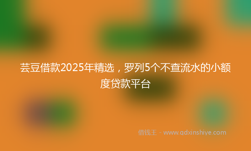 芸豆借款2025年精选，罗列5个不查流水的小额度贷款平台