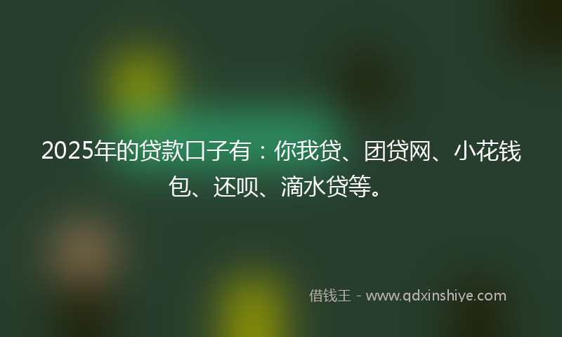 2025年的贷款口子有：你我贷、团贷网、小花钱包、还呗、滴水贷等。