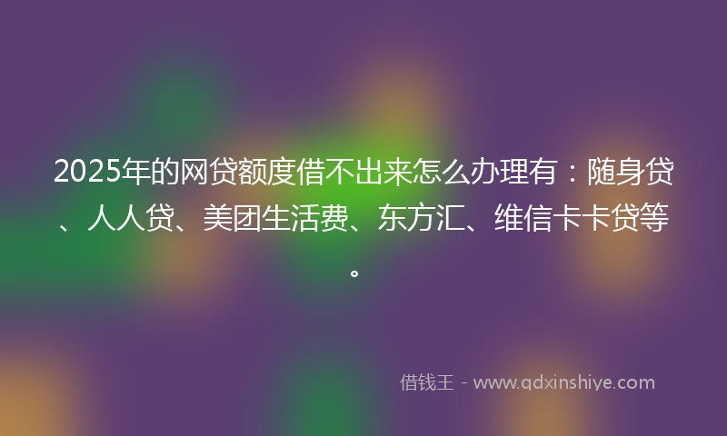 2025年的网贷额度借不出来怎么办理有：随身贷、人人贷、美团生活费、东方汇、维信卡卡贷等。