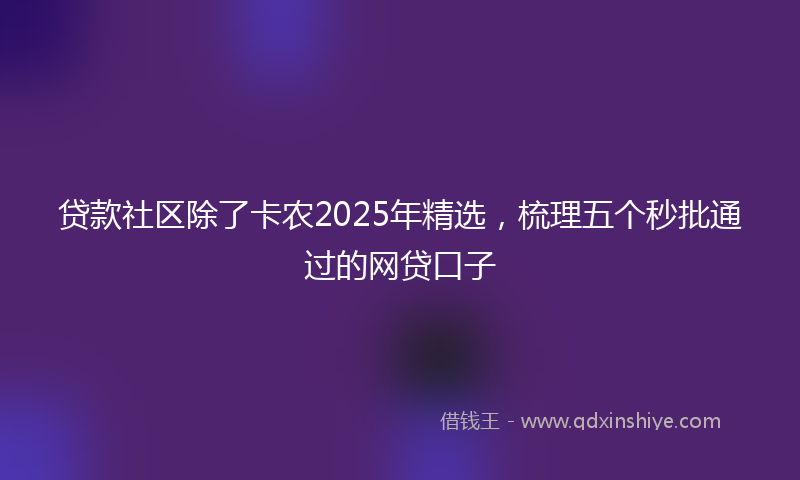 贷款社区除了卡农2025年精选，梳理五个秒批通过的网贷口子