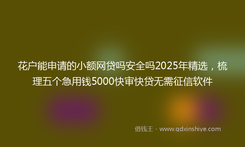 花户能申请的小额网贷吗安全吗2025年精选，梳理五个急用钱5000快审快贷无需征信软件