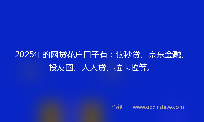 2025年的网贷花户口子有：读秒贷、京东金融、投友圈、人人贷、拉卡拉等。