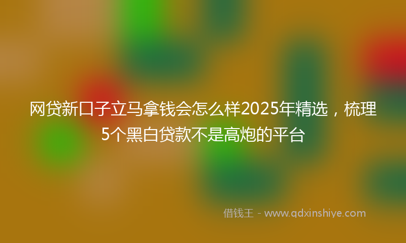 网贷新口子立马拿钱会怎么样2025年精选，梳理5个黑白贷款不是高炮的平台