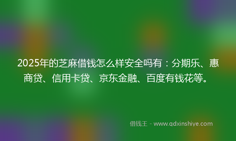 2025年的芝麻借钱怎么样安全吗有：分期乐、惠商贷、信用卡贷、京东金融、百度有钱花等。