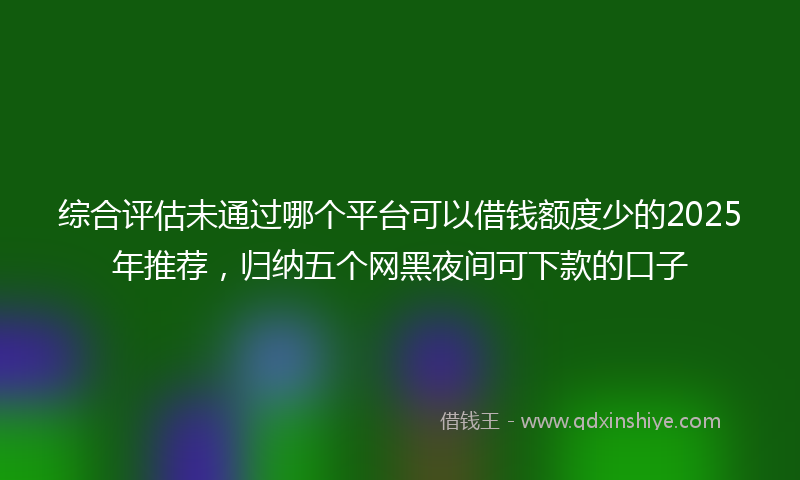 综合评估未通过哪个平台可以借钱额度少的2025年推荐，归纳五个网黑夜间可下款的口子