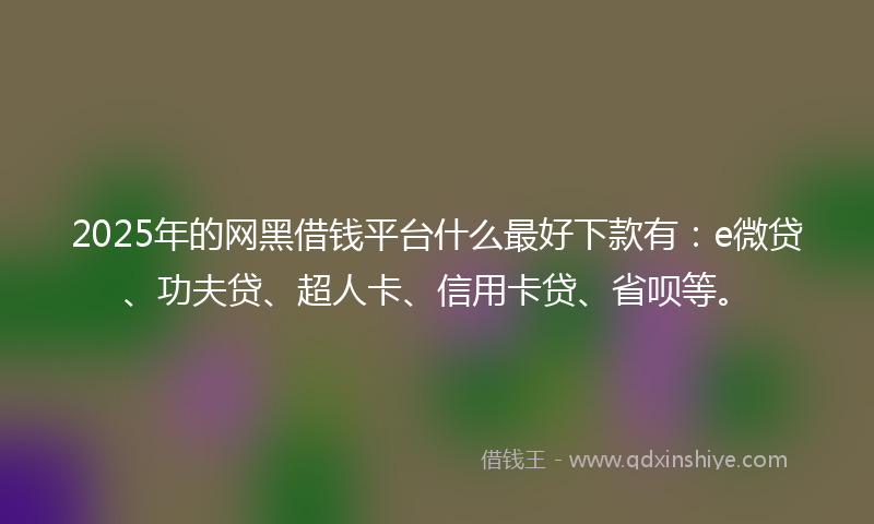 2025年的网黑借钱平台什么最好下款有：e微贷、功夫贷、超人卡、信用卡贷、省呗等。