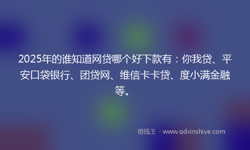 2025年的谁知道网贷哪个好下款有：你我贷、平安口袋银行、团贷网、维信卡卡贷、度小满金融等。