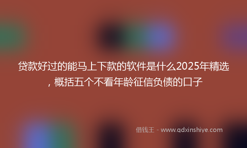 贷款好过的能马上下款的软件是什么2025年精选，概括五个不看年龄征信负债的口子