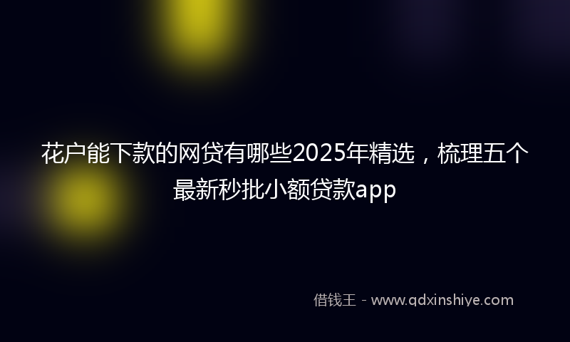 花户能下款的网贷有哪些2025年精选，梳理五个最新秒批小额贷款app