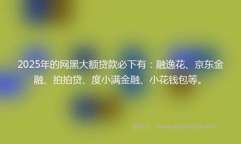 2025年的网黑大额贷款必下有：融逸花、京东金融、拍拍贷、度小满金融、小花钱包等。