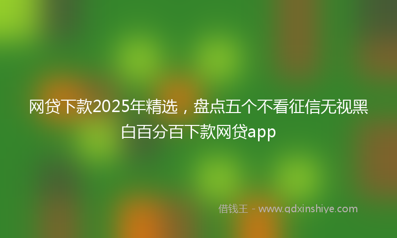 网贷下款2025年精选，盘点五个不看征信无视黑白百分百下款网贷app