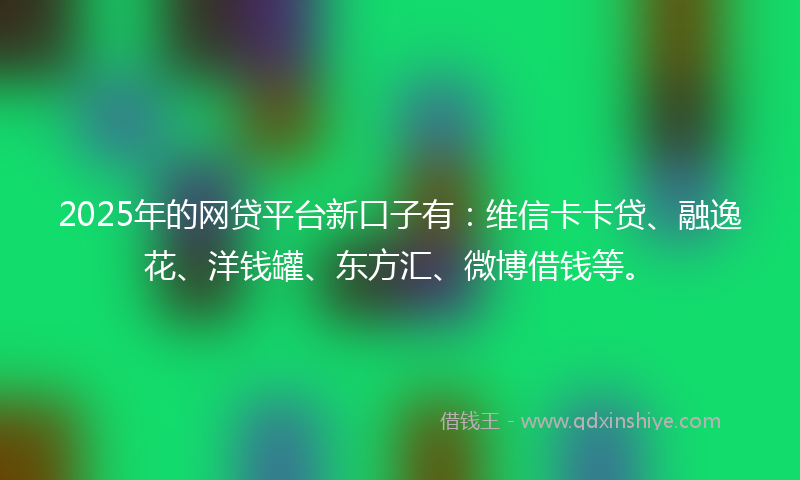 2025年的网贷平台新口子有：维信卡卡贷、融逸花、洋钱罐、东方汇、微博借钱等。