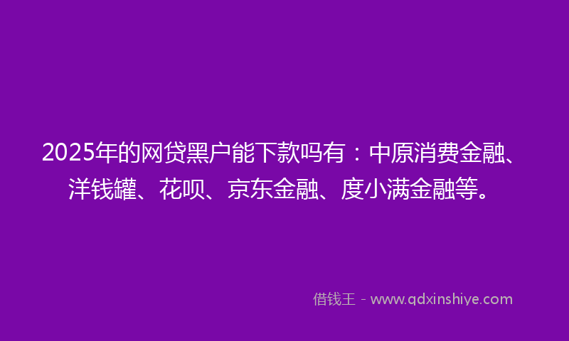 2025年的网贷黑户能下款吗有：中原消费金融、洋钱罐、花呗、京东金融、度小满金融等。