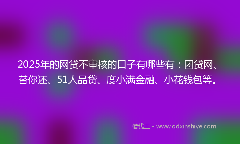 2025年的网贷不审核的口子有哪些有：团贷网、替你还、51人品贷、度小满金融、小花钱包等。