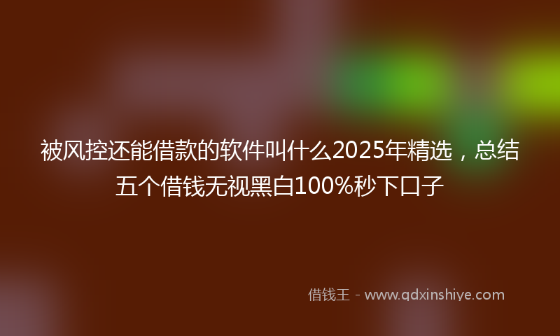 被风控还能借款的软件叫什么2025年精选，总结五个借钱无视黑白100%秒下口子