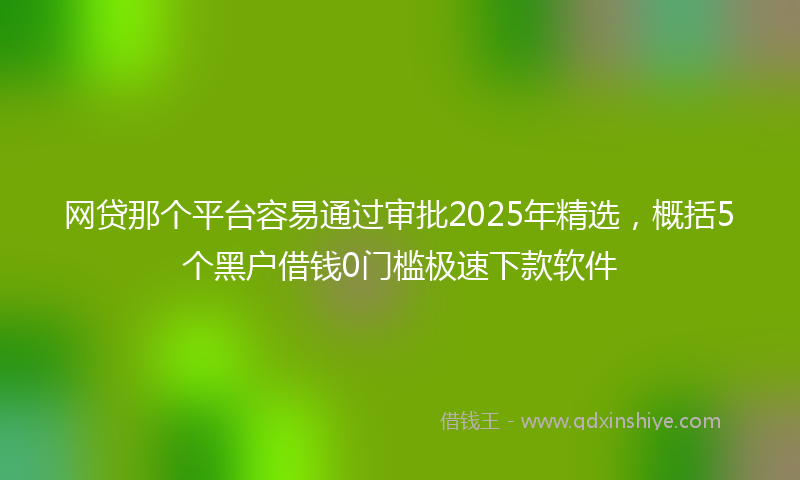 网贷那个平台容易通过审批2025年精选，概括5个黑户借钱0门槛极速下款软件