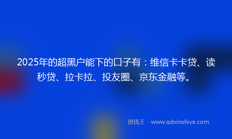 2025年的超黑户能下的口子有：维信卡卡贷、读秒贷、拉卡拉、投友圈、京东金融等。