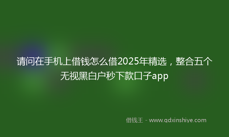 请问在手机上借钱怎么借2025年精选，整合五个无视黑白户秒下款口子app