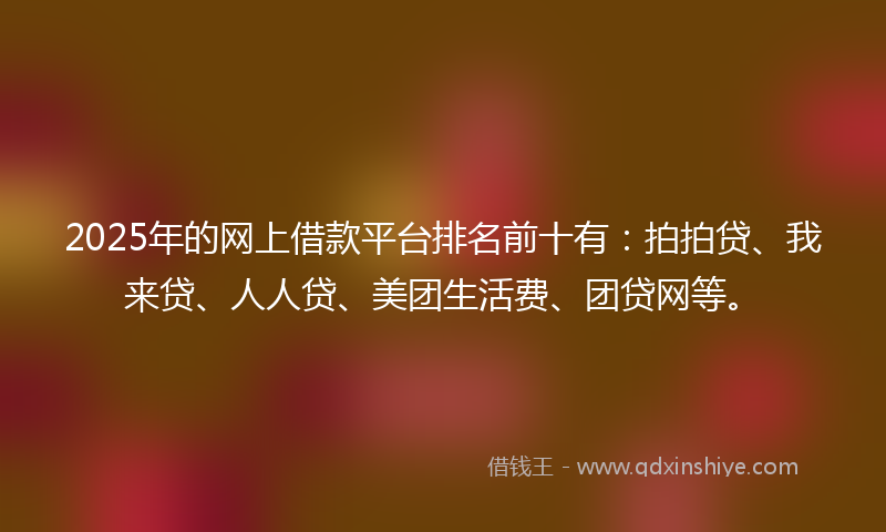 2025年的网上借款平台排名前十有：拍拍贷、我来贷、人人贷、美团生活费、团贷网等。