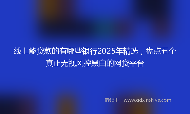 线上能贷款的有哪些银行2025年精选，盘点五个真正无视风控黑白的网贷平台
