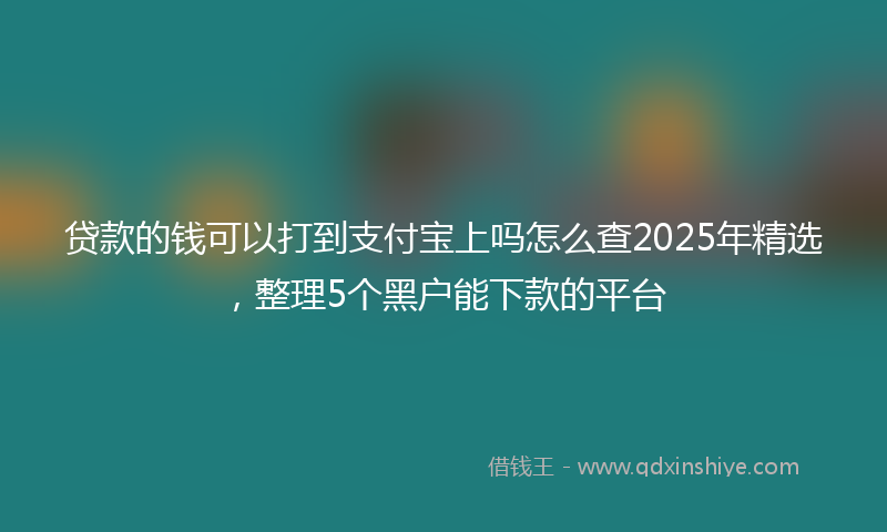 贷款的钱可以打到支付宝上吗怎么查2025年精选，整理5个黑户能下款的平台