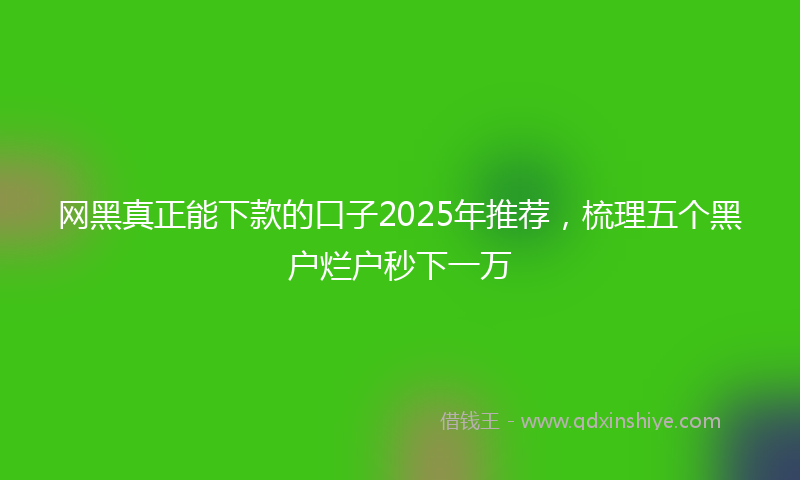 网黑真正能下款的口子2025年推荐，梳理五个黑户烂户秒下一万