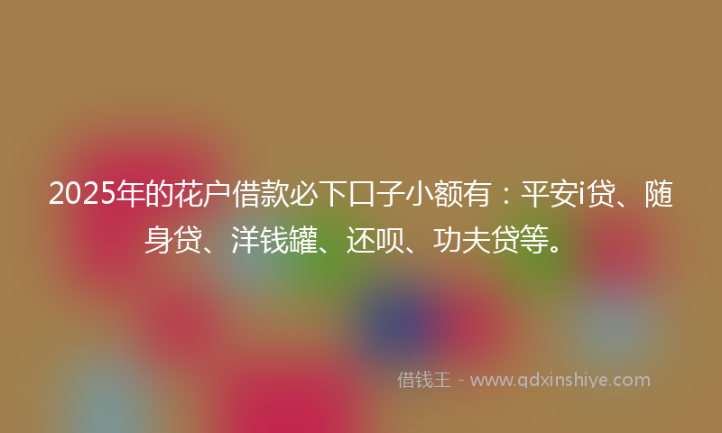 2025年的花户借款必下口子小额有：平安i贷、随身贷、洋钱罐、还呗、功夫贷等。