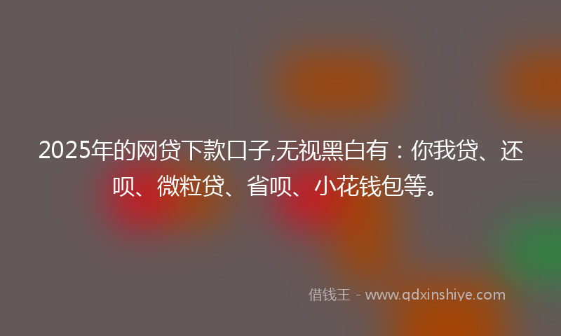 2025年的网贷下款口子,无视黑白有：你我贷、还呗、微粒贷、省呗、小花钱包等。