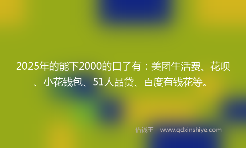 2025年的能下2000的口子有：美团生活费、花呗、小花钱包、51人品贷、百度有钱花等。