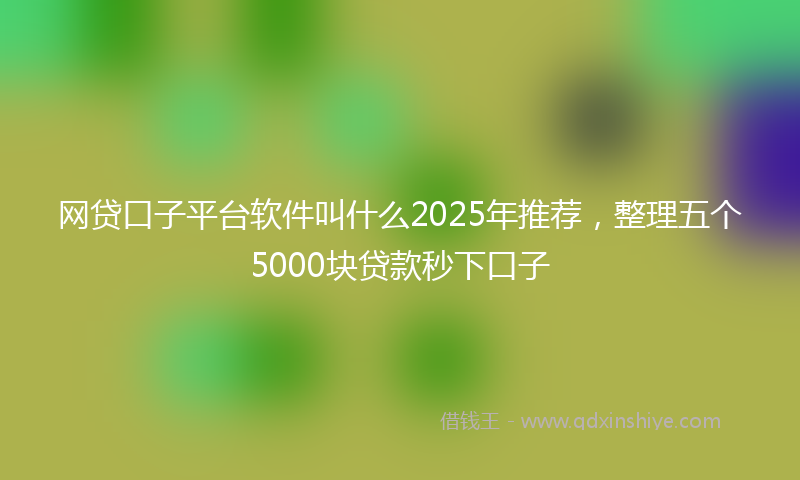 网贷口子平台软件叫什么2025年推荐，整理五个5000块贷款秒下口子