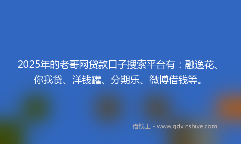 2025年的老哥网贷款口子搜索平台有：融逸花、你我贷、洋钱罐、分期乐、微博借钱等。