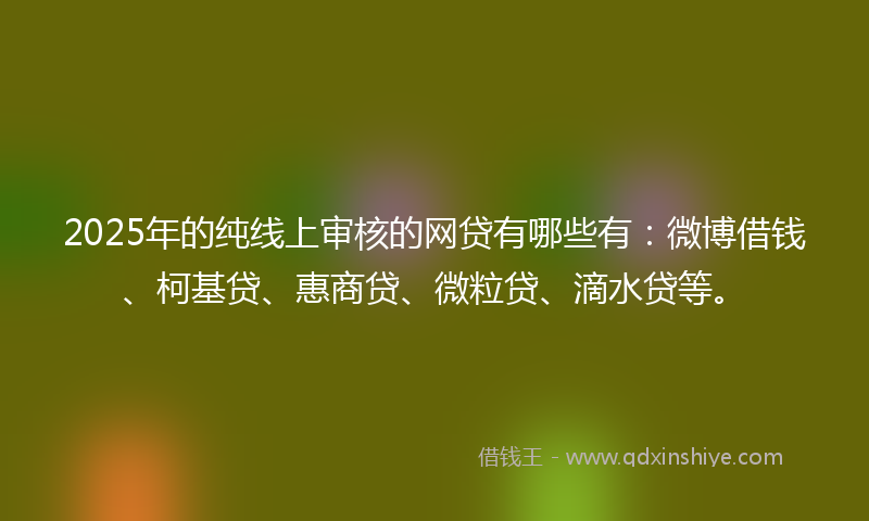 2025年的纯线上审核的网贷有哪些有：微博借钱、柯基贷、惠商贷、微粒贷、滴水贷等。