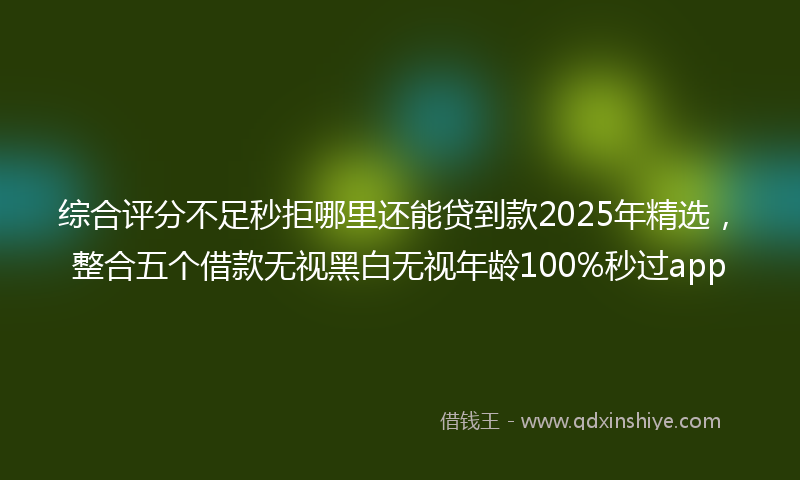 综合评分不足秒拒哪里还能贷到款2025年精选，整合五个借款无视黑白无视年龄100%秒过app