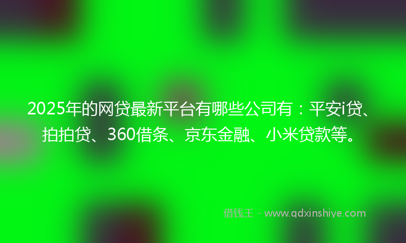 2025年的网贷最新平台有哪些公司有：平安i贷、拍拍贷、360借条、京东金融、小米贷款等。
