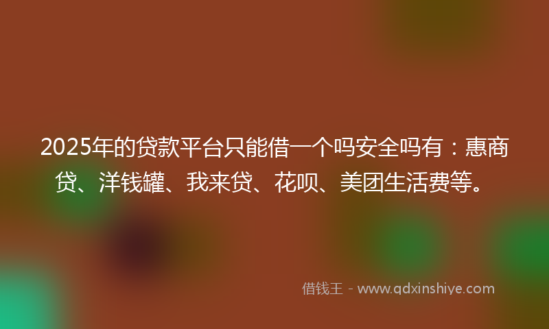 2025年的贷款平台只能借一个吗安全吗有：惠商贷、洋钱罐、我来贷、花呗、美团生活费等。