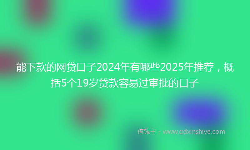 能下款的网贷口子2024年有哪些2025年推荐，概括5个19岁贷款容易过审批的口子