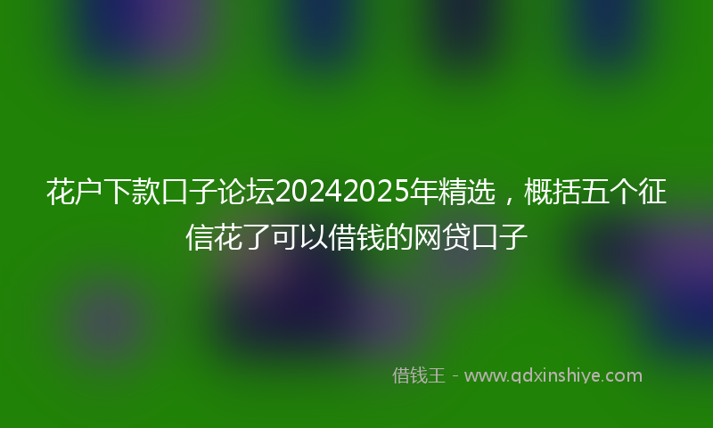 花户下款口子论坛20242025年精选，概括五个征信花了可以借钱的网贷口子
