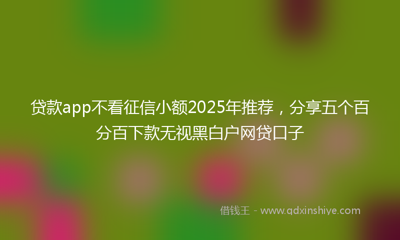 贷款app不看征信小额2025年推荐，分享五个百分百下款无视黑白户网贷口子
