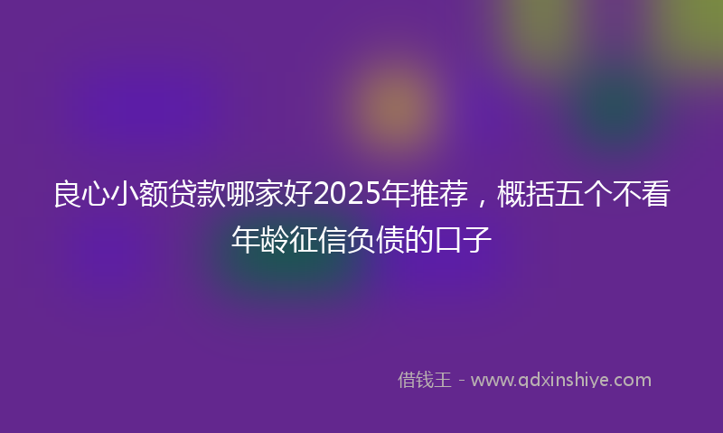 良心小额贷款哪家好2025年推荐，概括五个不看年龄征信负债的口子
