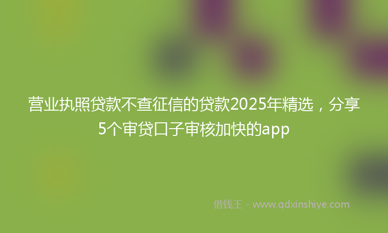 营业执照贷款不查征信的贷款2025年精选，分享5个审贷口子审核加快的app