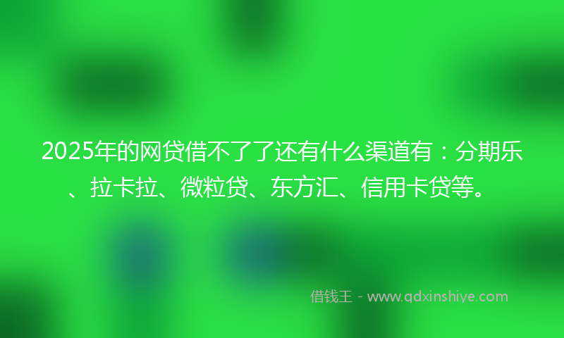 2025年的网贷借不了了还有什么渠道有：分期乐、拉卡拉、微粒贷、东方汇、信用卡贷等。