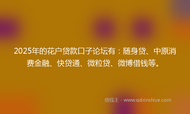 2025年的花户贷款口子论坛有：随身贷、中原消费金融、快贷通、微粒贷、微博借钱等。