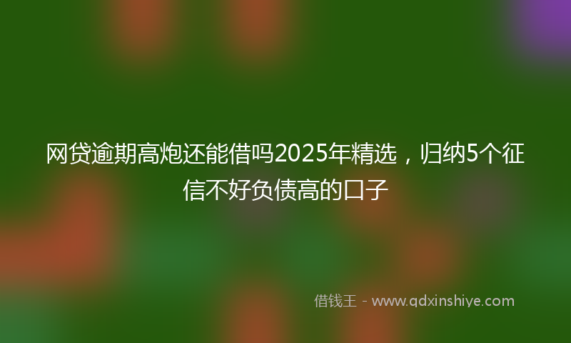 网贷逾期高炮还能借吗2025年精选，归纳5个征信不好负债高的口子