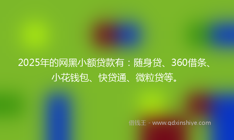 2025年的网黑小额贷款有：随身贷、360借条、小花钱包、快贷通、微粒贷等。